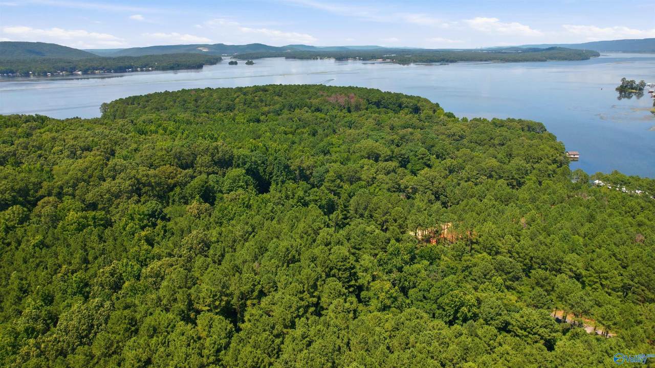 475 John Cabaniss Road - Photo 1