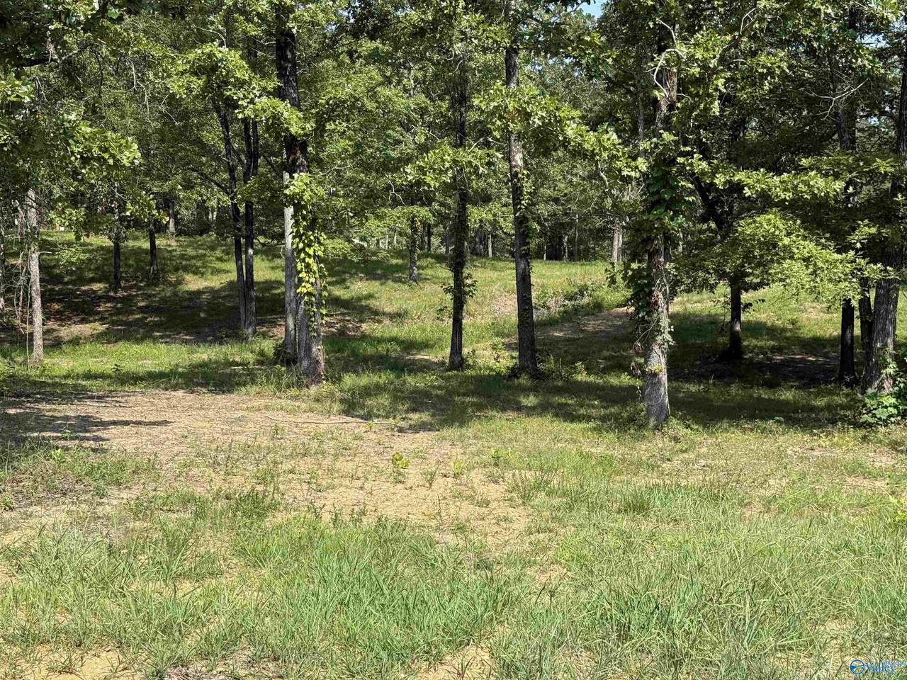 1 County Road 819 - Photo 1