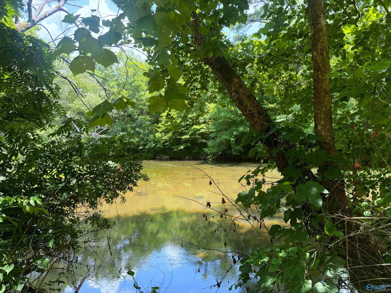 Lot 34 County Road 336 - Photo 1