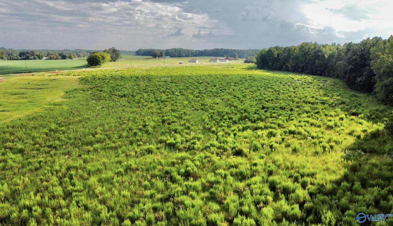 26 Acres Piney Chapel Road - Photo 1