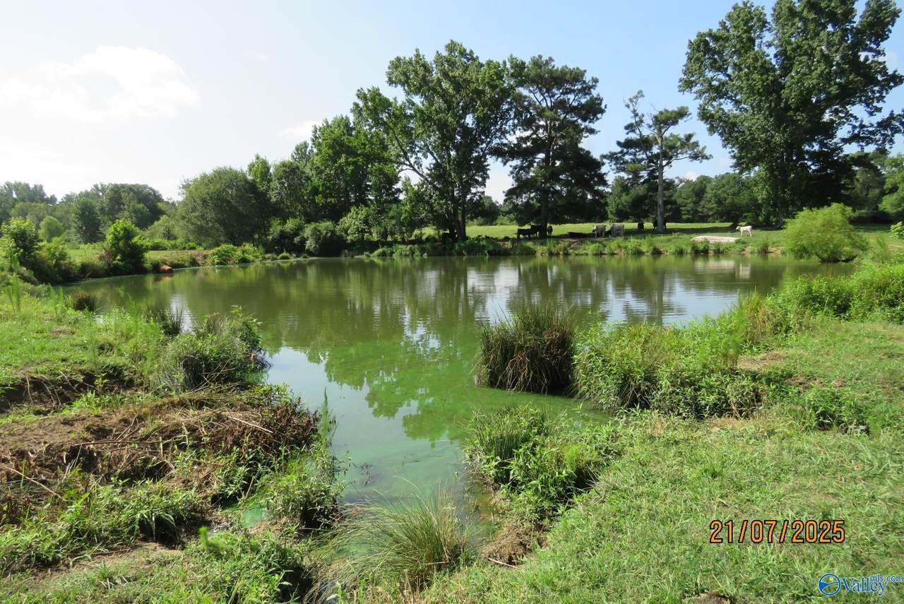 Tract 7 Brown Road - Photo 1