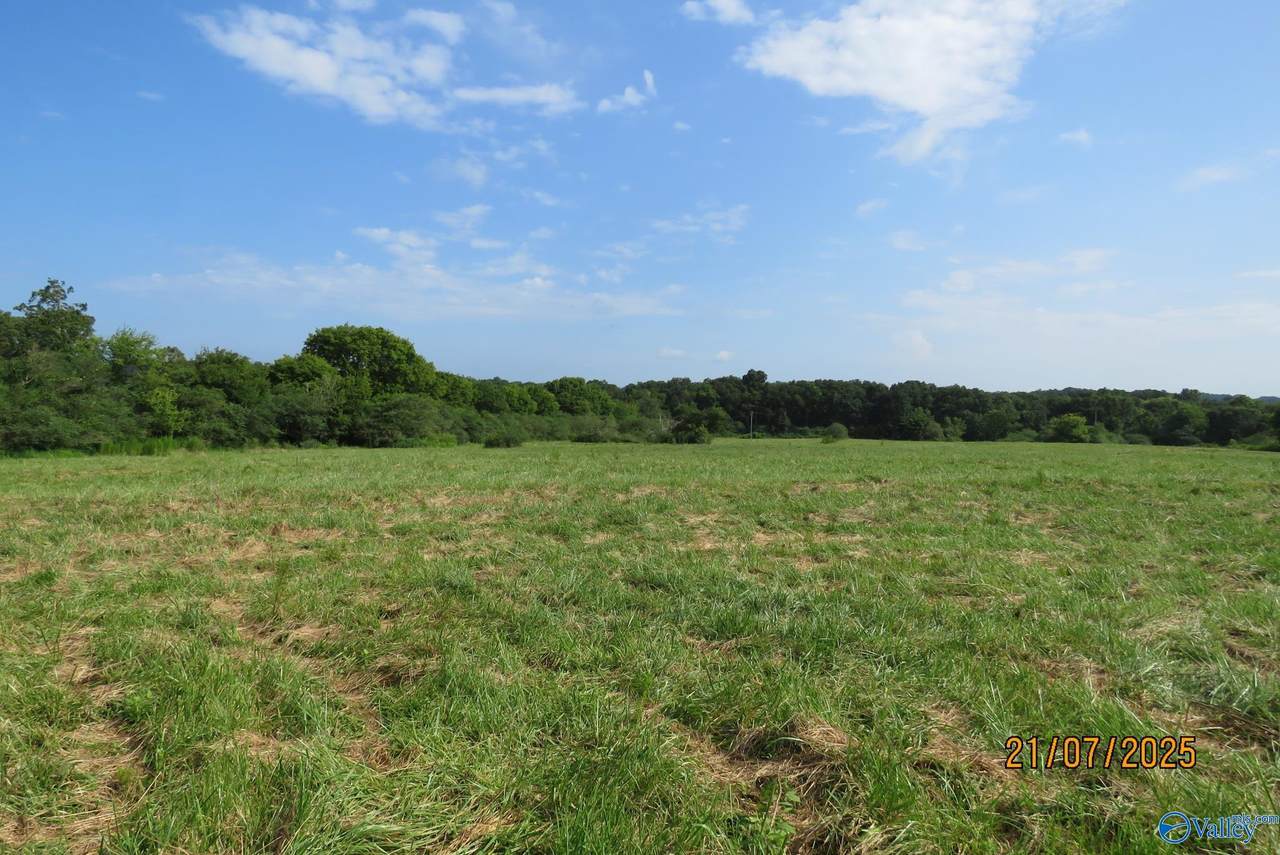 Tract 6 Brown Road - Photo 1