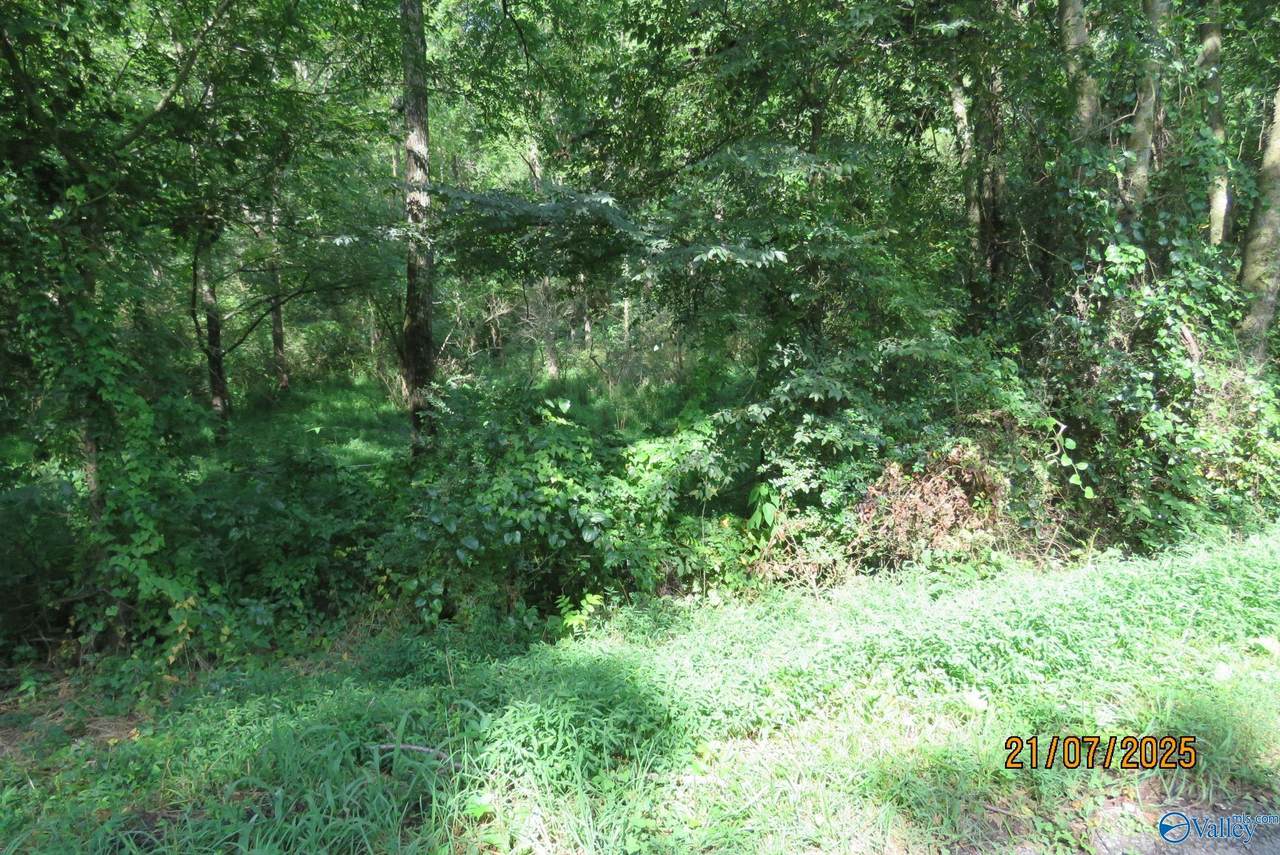 https://bt-photos.global.ssl.fastly.net/nalmls/1280_boomver_1_21922799-2.jpg