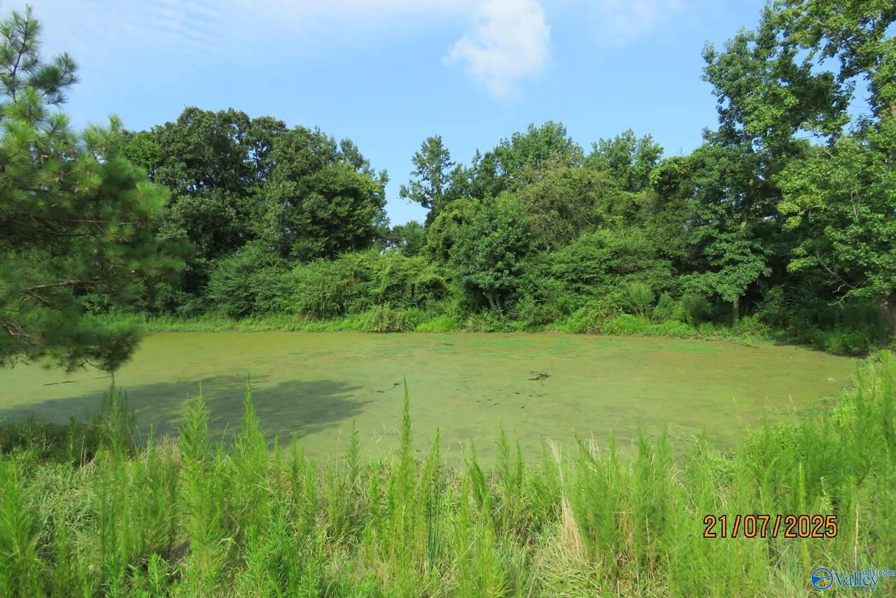 Tract 10 Brown Road - Photo 1