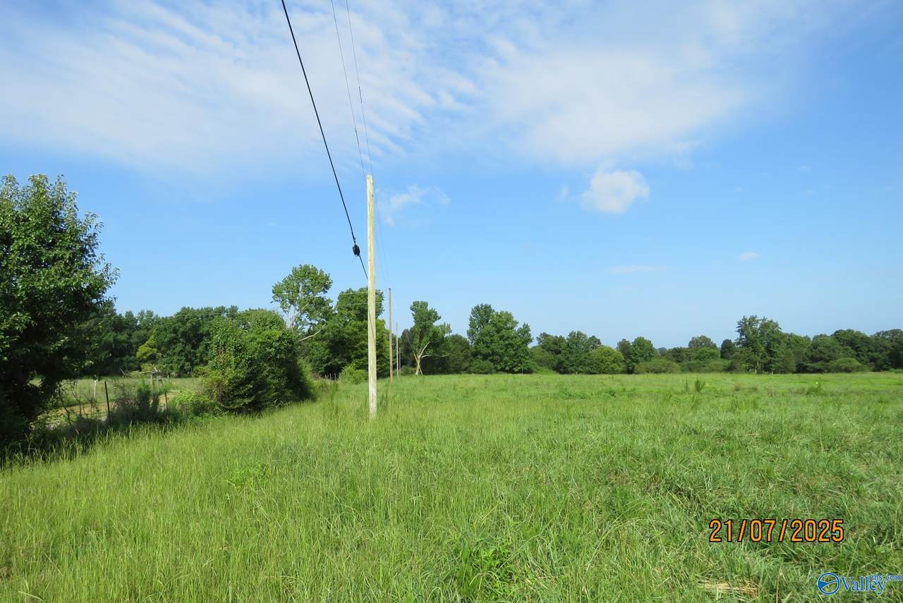 Tract 14 Brown Road - Photo 1