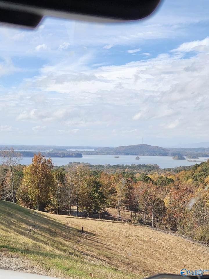 Lot#24 County Road 767 - Photo 1