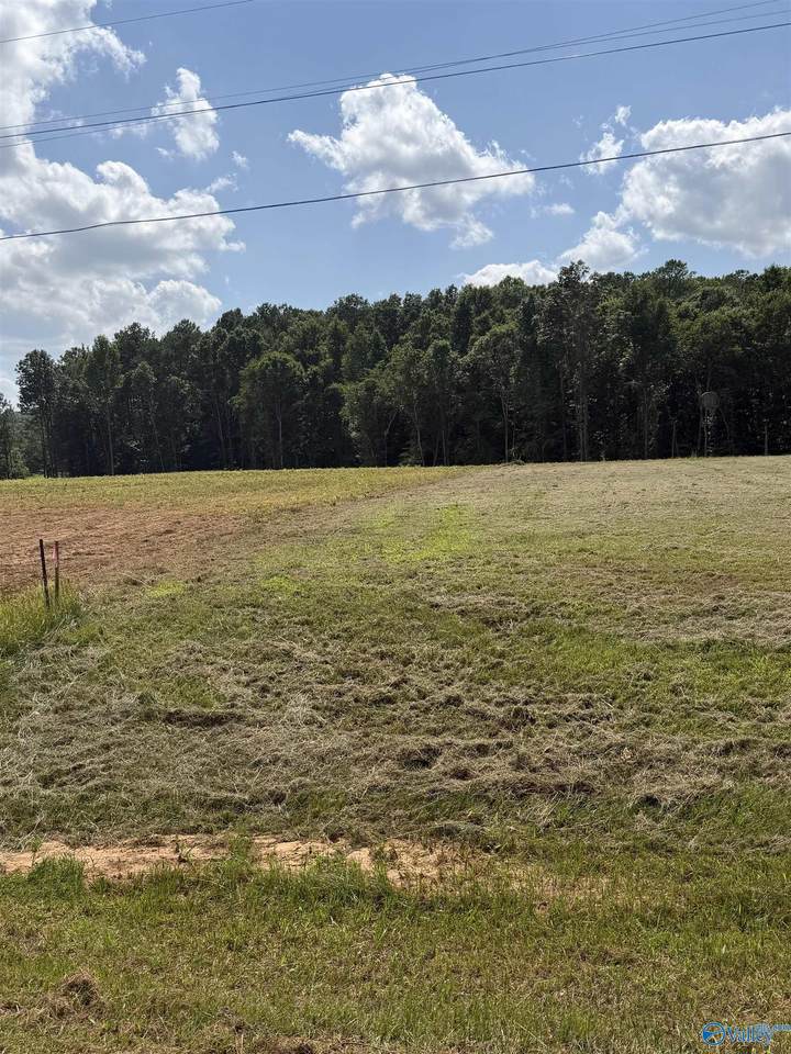 1556 Bluff City Road - Photo 1