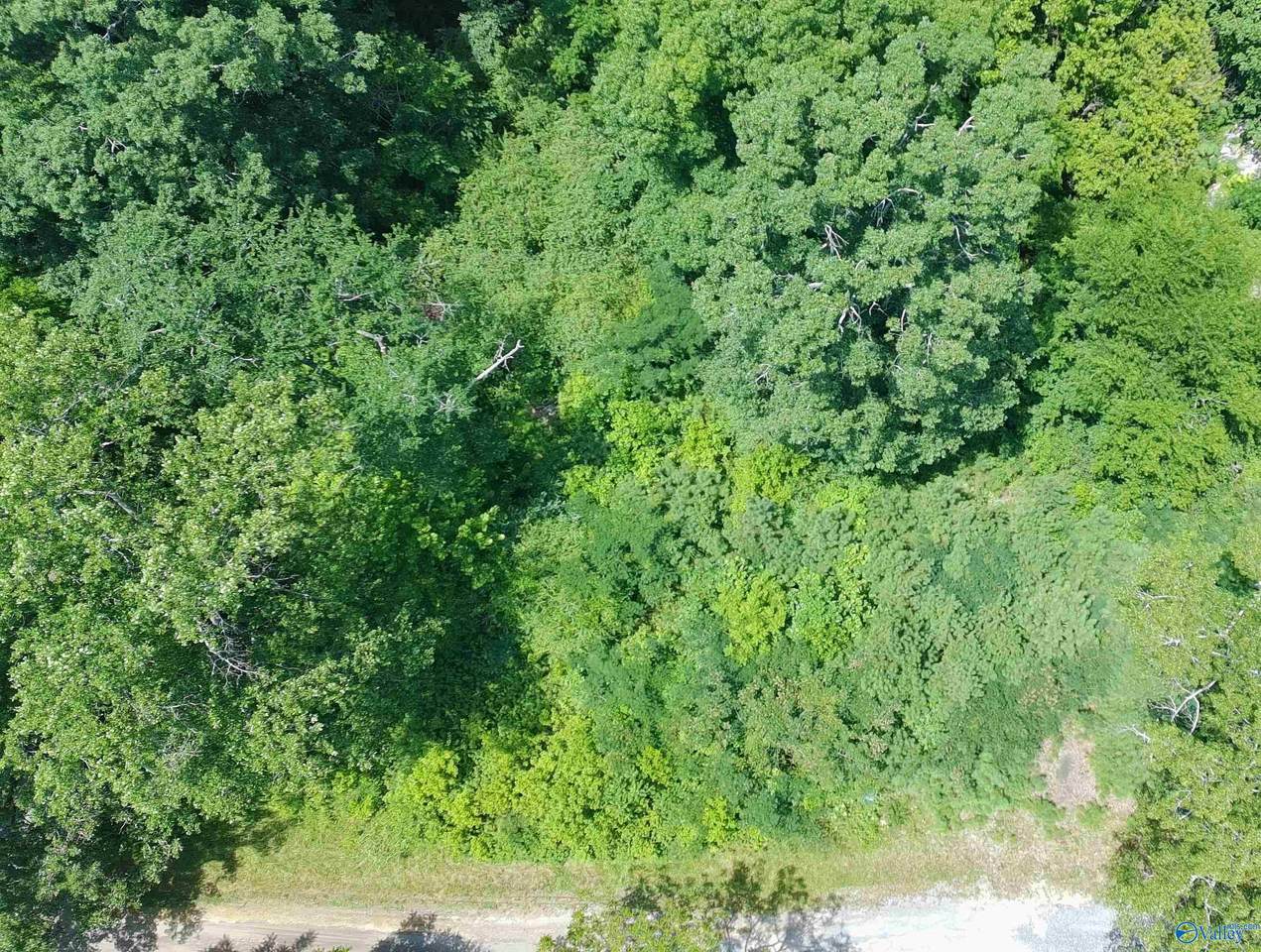 46 Foothill Circle - Photo 1