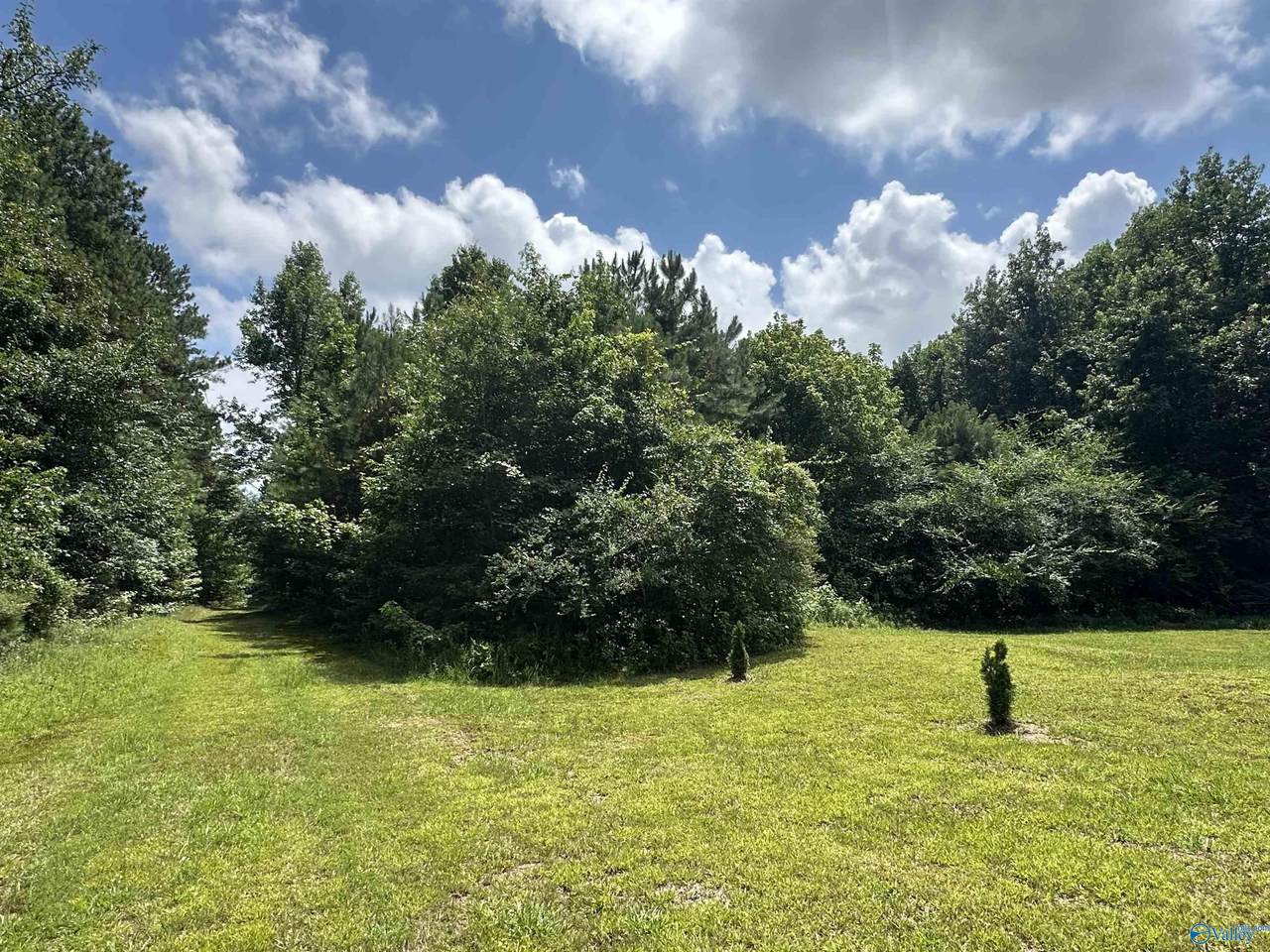 3 Acres Mount Carmel Drive - Photo 1
