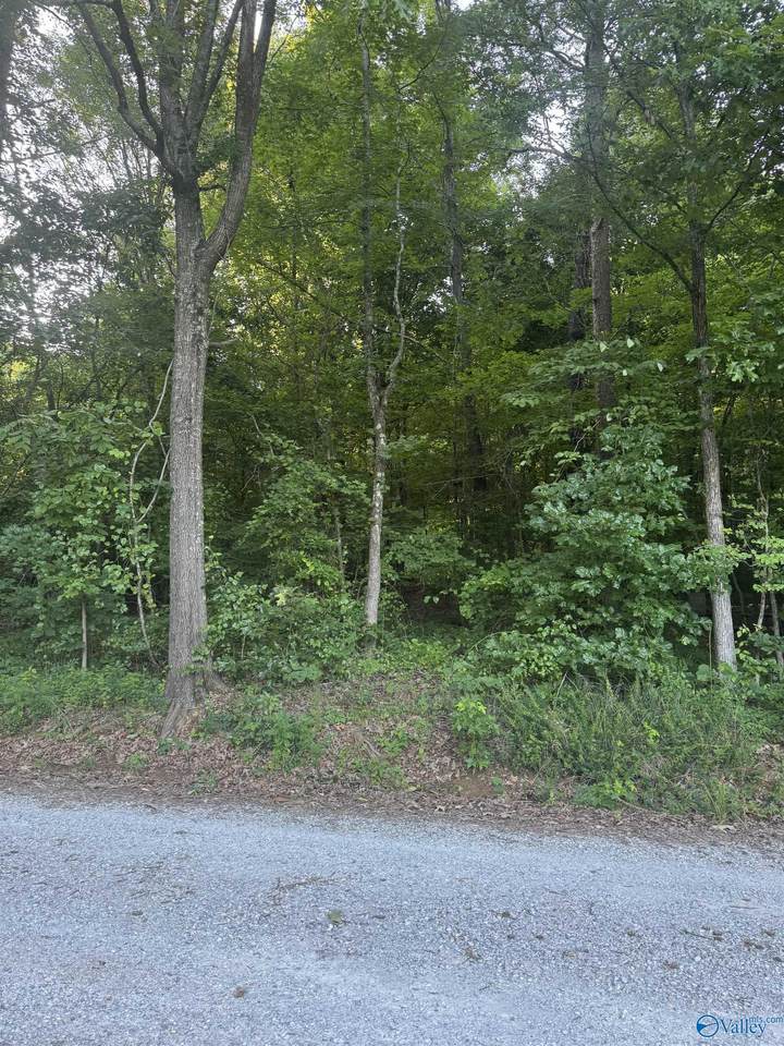 Lot 71 Goldenrod Way - Photo 1