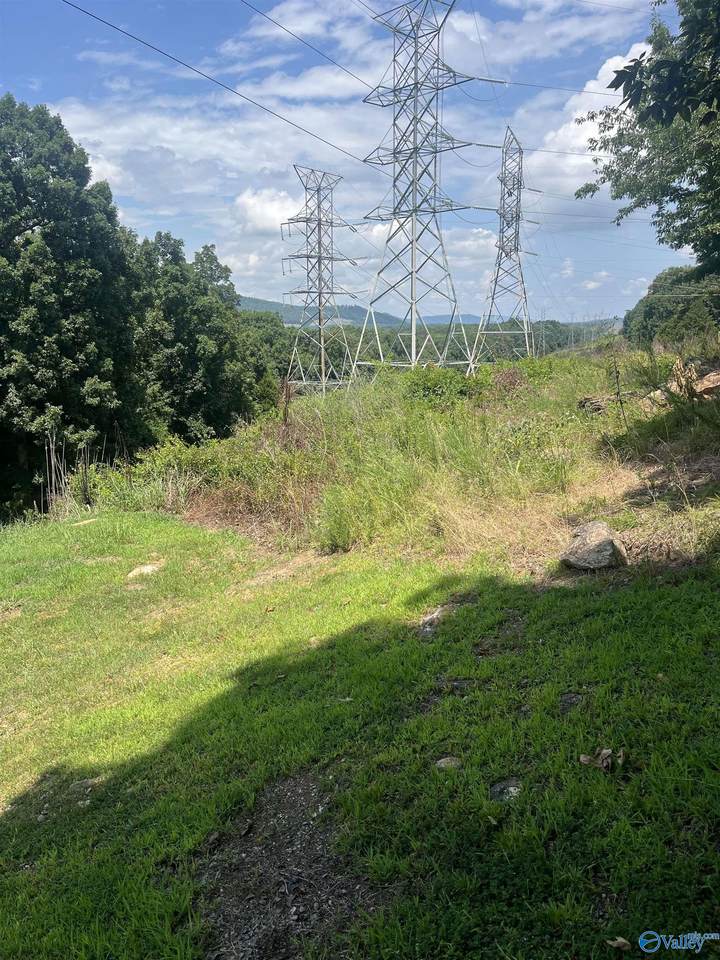 1.12 acres Savory Drive - Photo 1