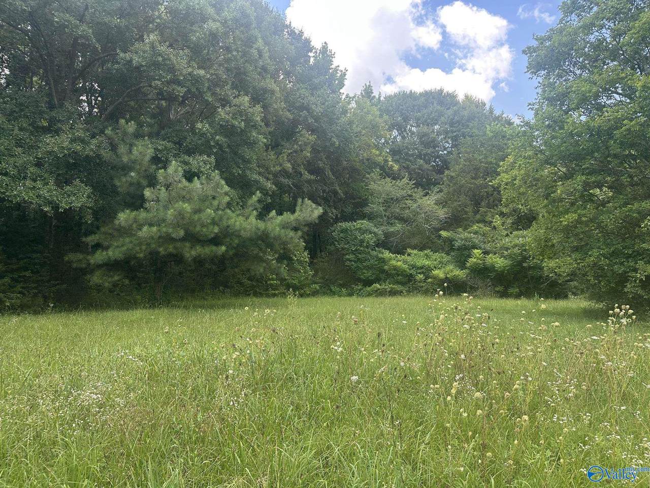 473 Section Line Road - Photo 1