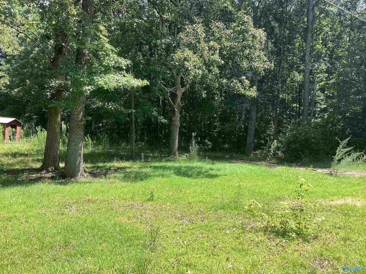 13 acres Gray Road - Photo 1