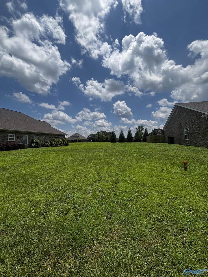 LOT 11 Village Lane - Photo 1