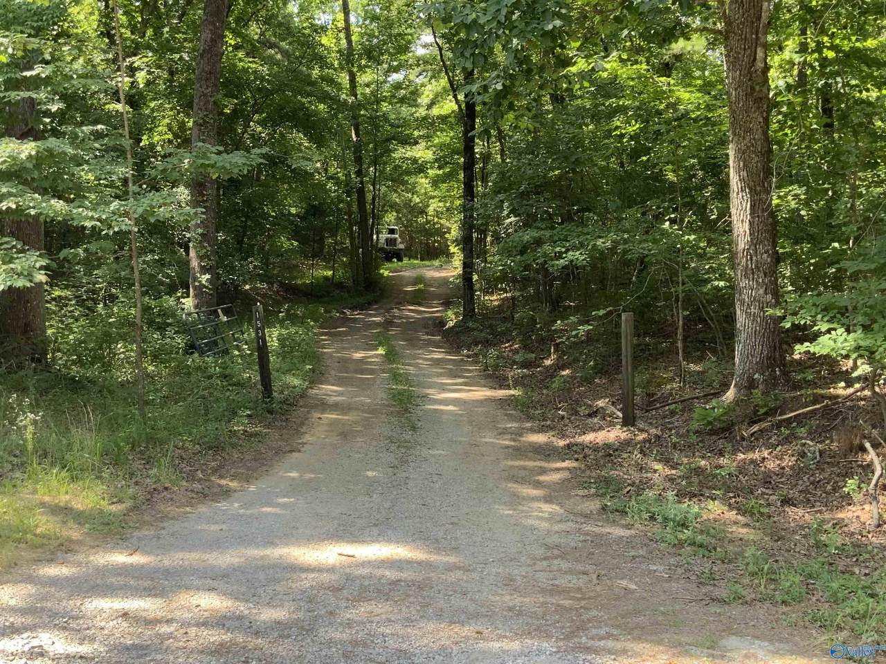 15 Acres County Road 216 - Photo 1