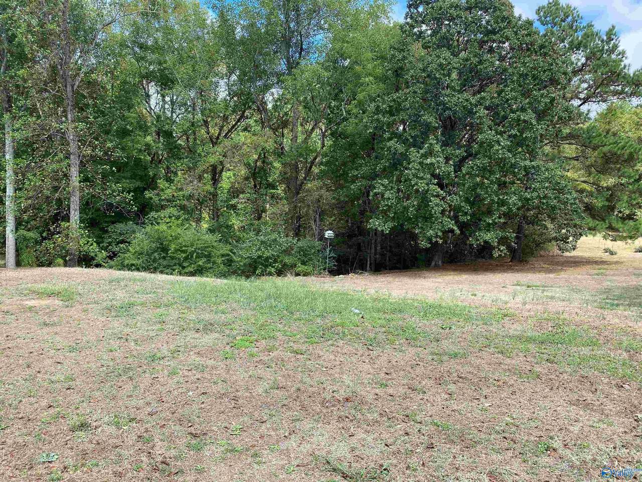 1 Acre Highway 67 - Photo 1