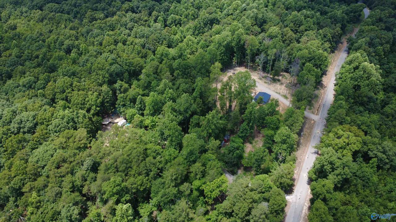 2194 County Road 189 - Photo 1