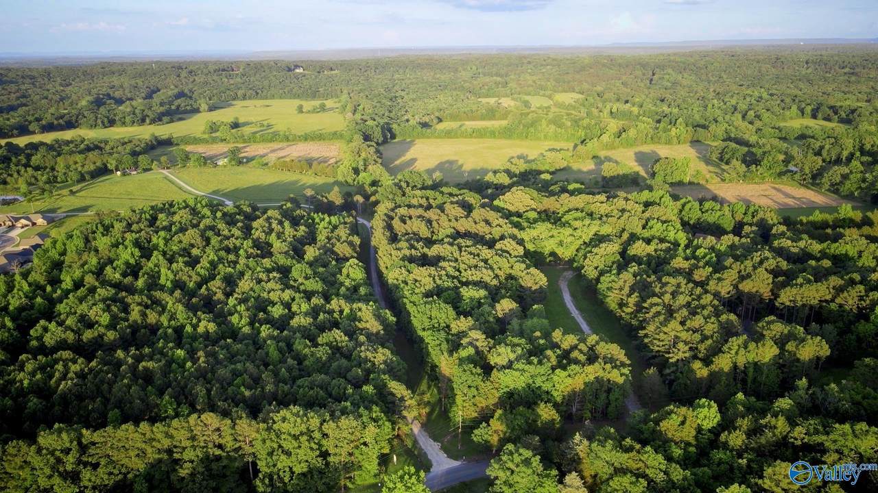 18 Acres South Chapel Hill Road - Photo 1