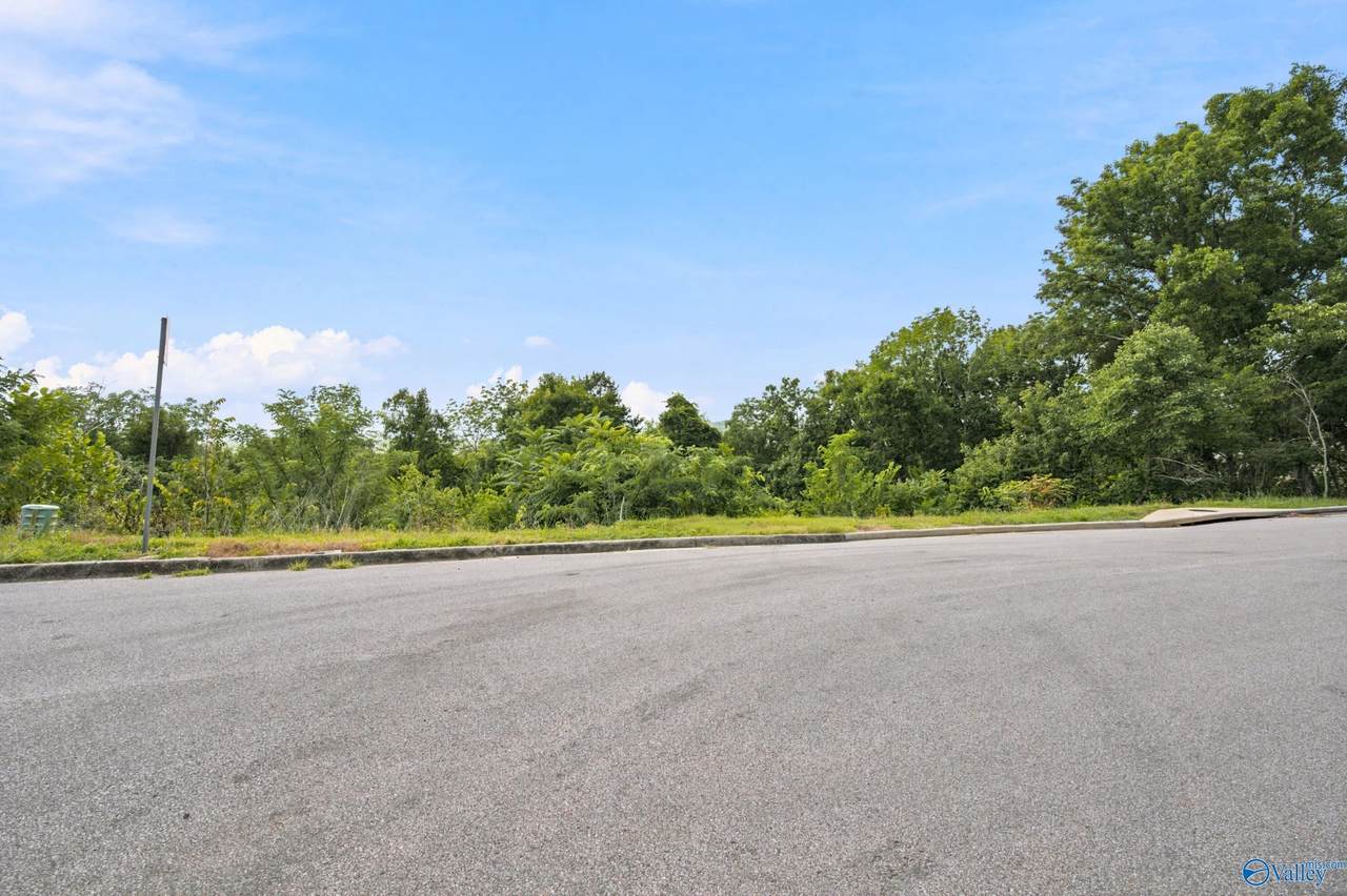 16014 Greentree Trail - Photo 1