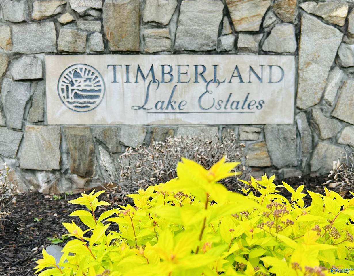 3705 Timberlake Court - Photo 1