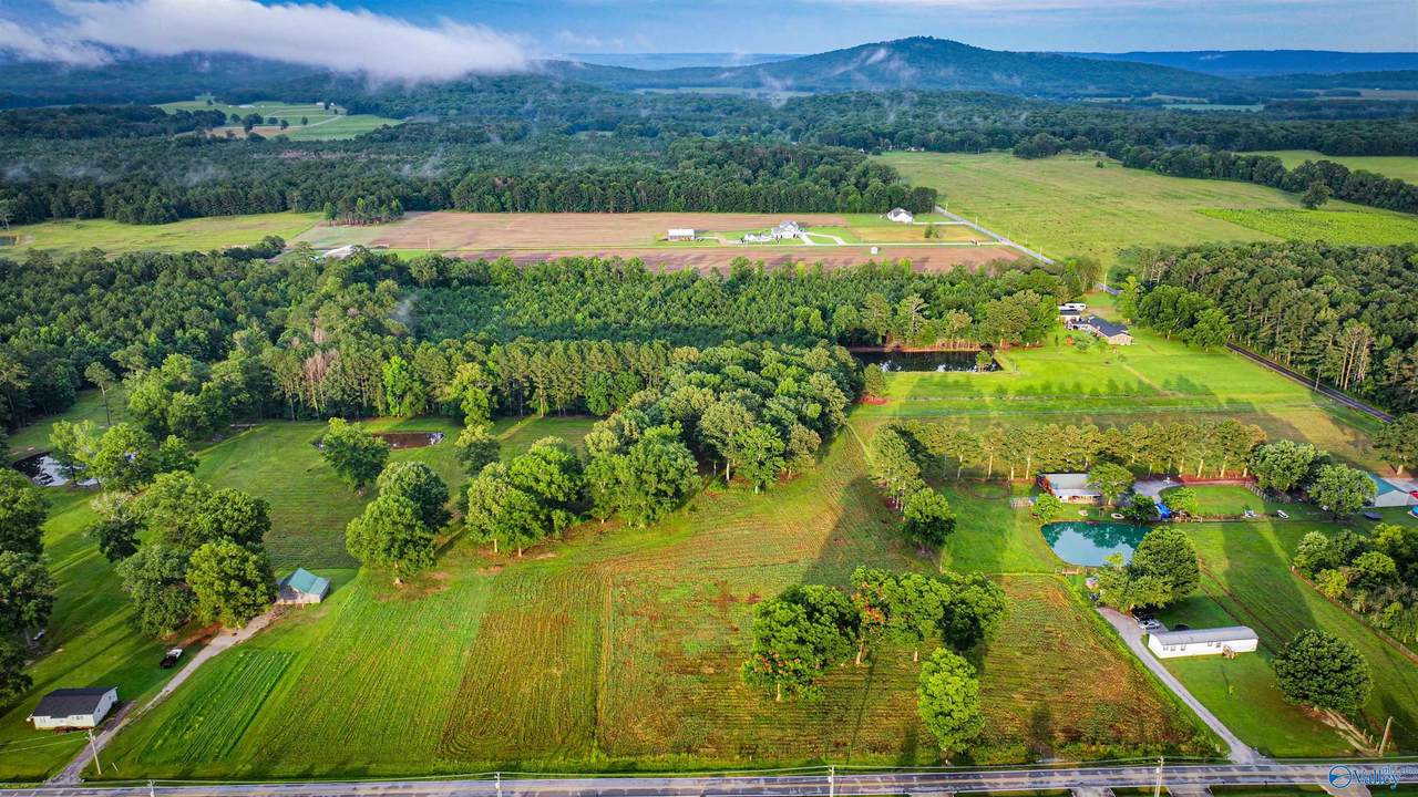 685 Piney Woods Road - Photo 1