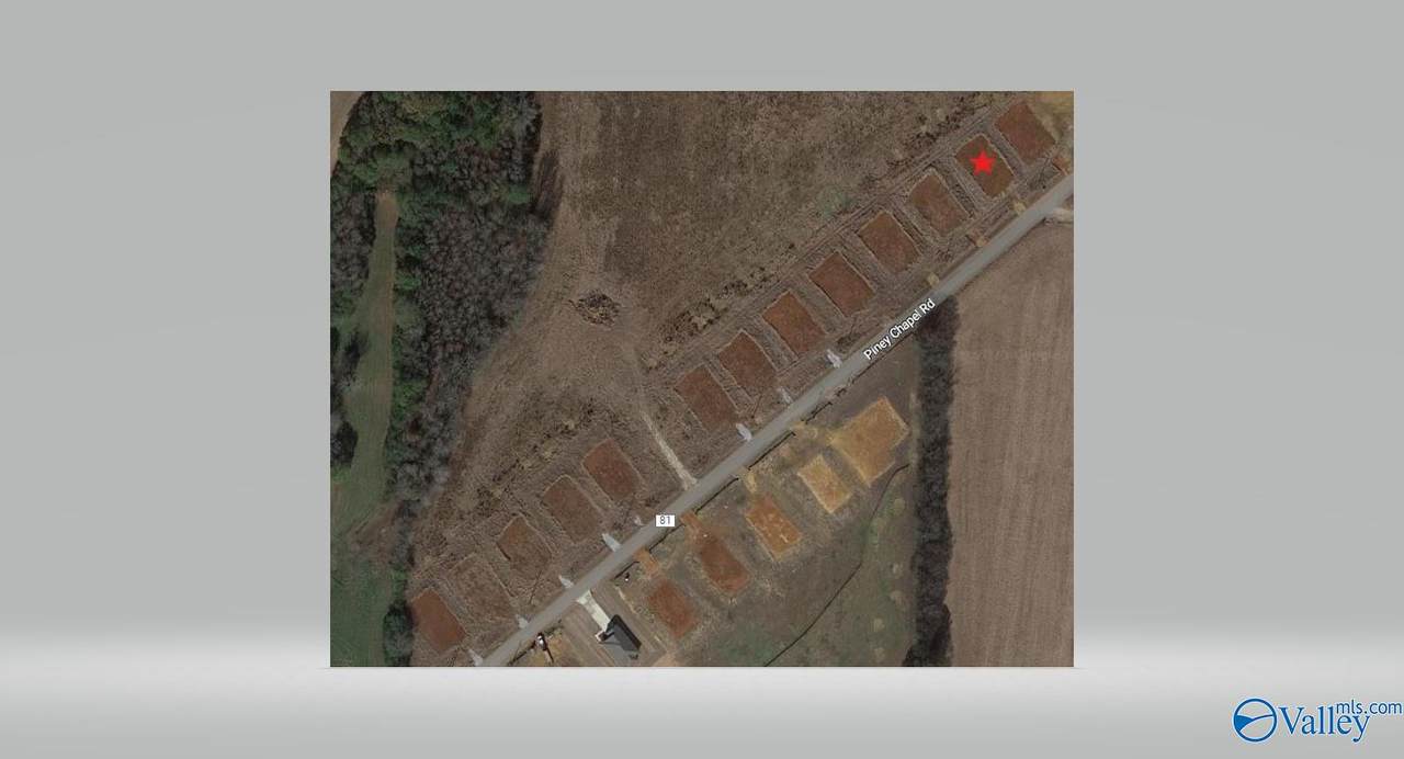 20925 Piney Chapel Road - Photo 1