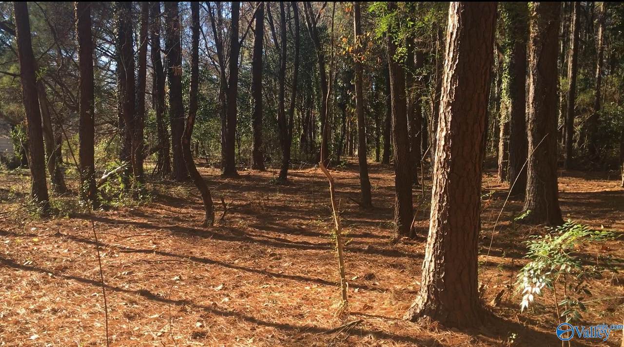 2.4 ACRES Linde Street - Photo 1
