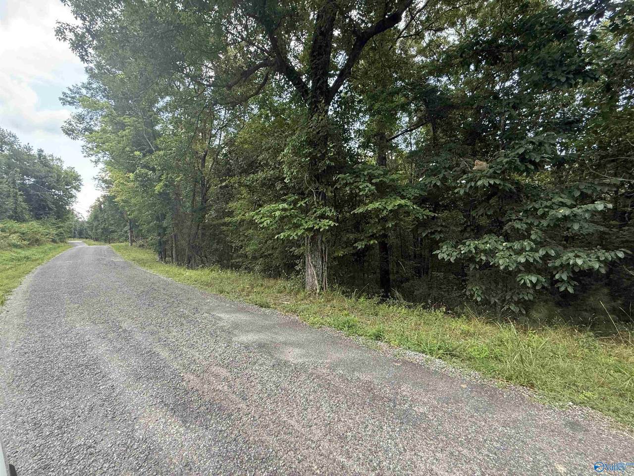 8 acres Bishop Mountain Road - Photo 1