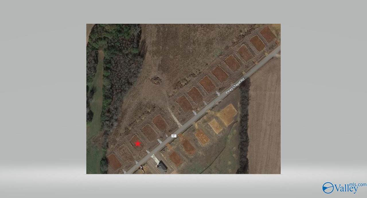 20729 Piney Chapel Road - Photo 1