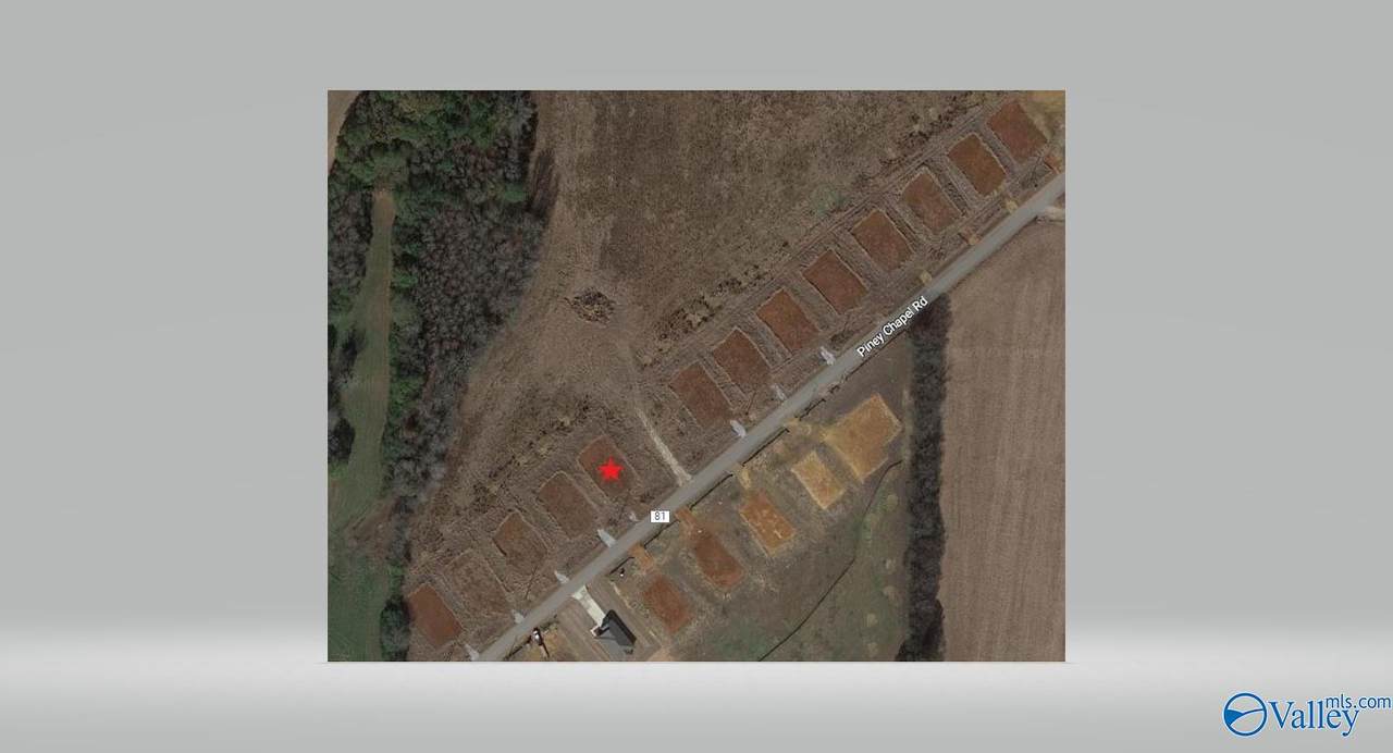 20769 Piney Chapel Road - Photo 1