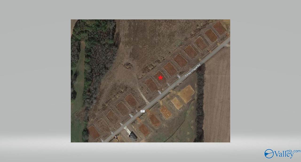 20825 Piney Chapel Road - Photo 1