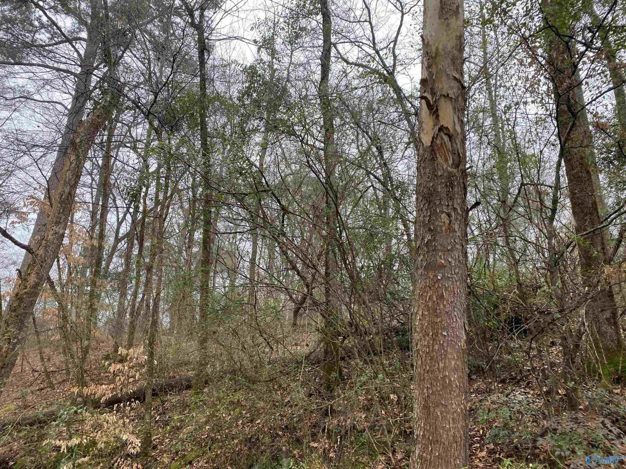 1 Bud Weaver Road - Photo 1