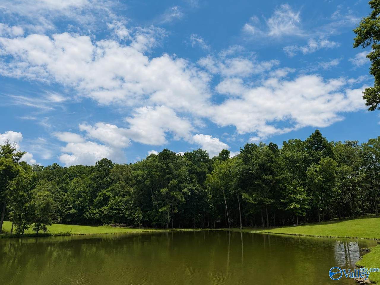 Lot 13 County Road 131 - Photo 1