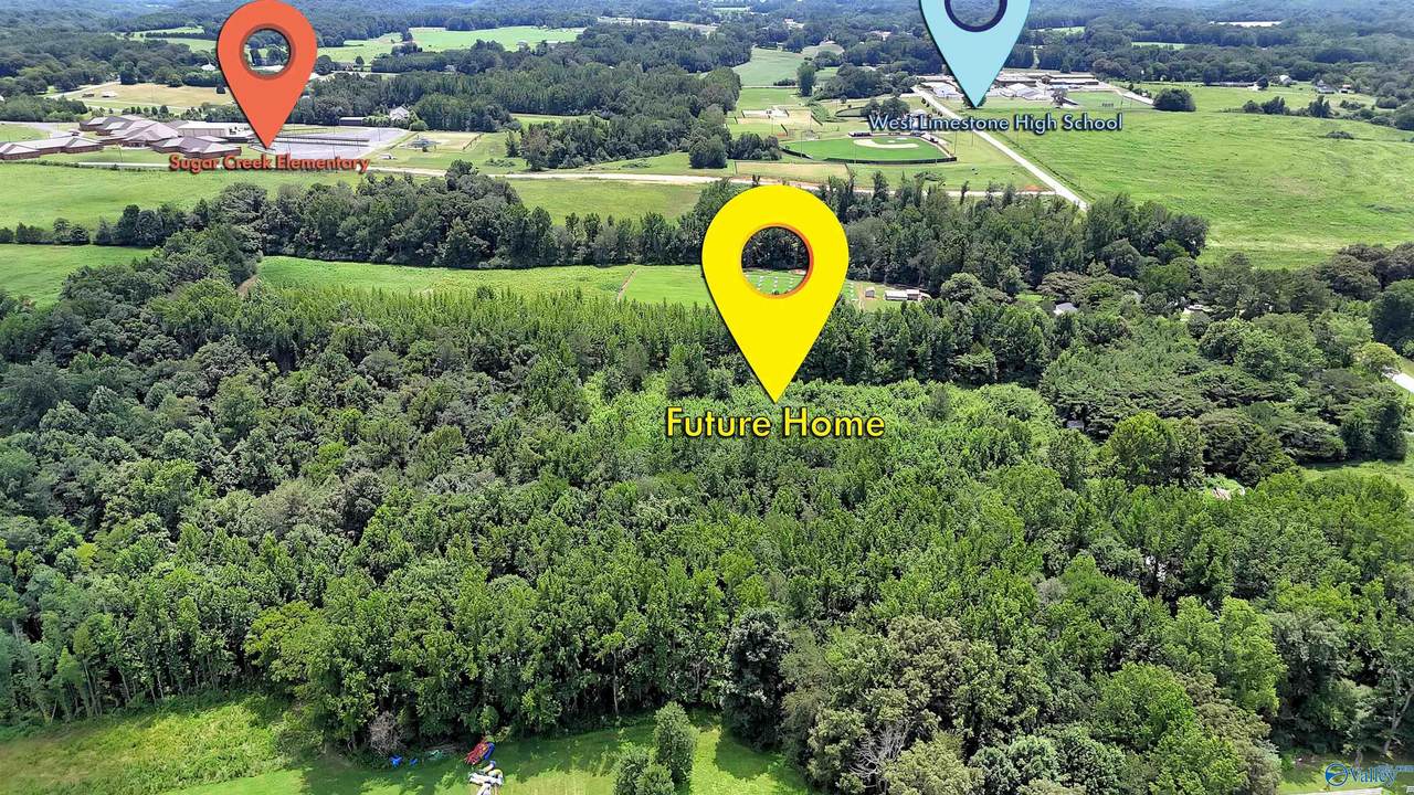 26600 Limestone School Road - Photo 1