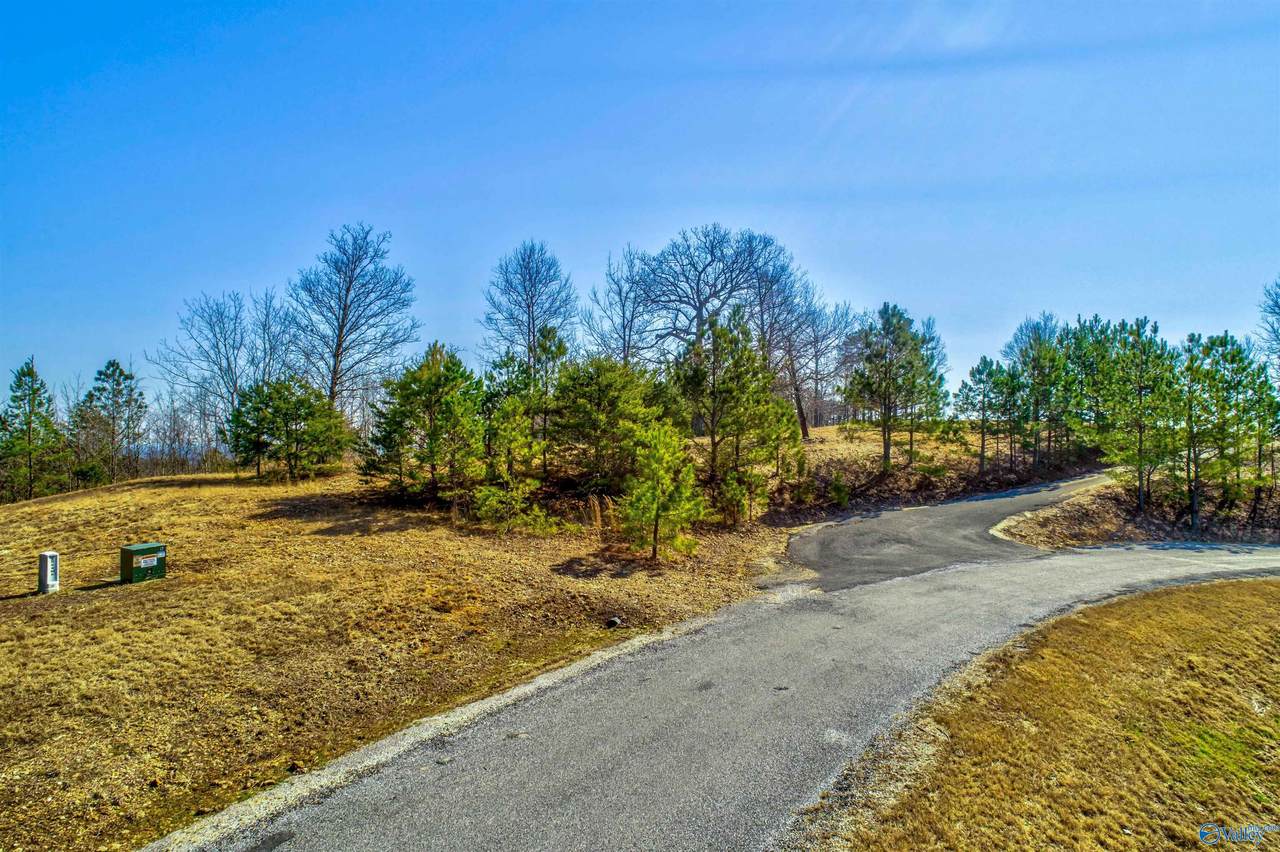 Lot 23 County Road 767 - Photo 1
