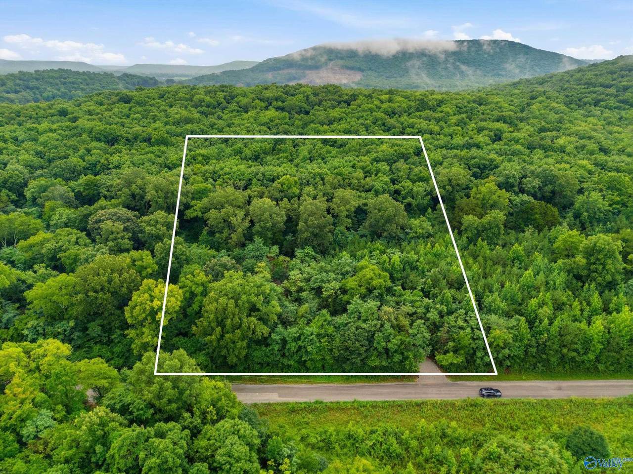 773 Mccutcheon Loop Road - Photo 1