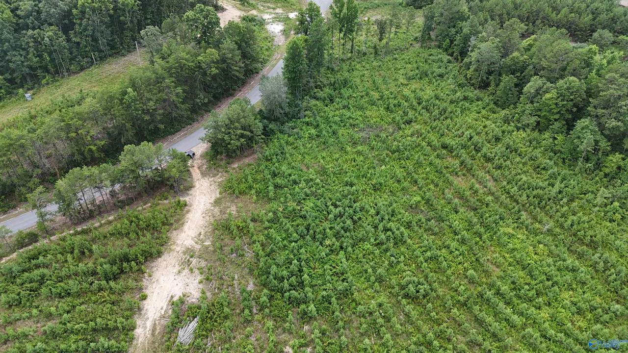 006 County Road 921 - Photo 1