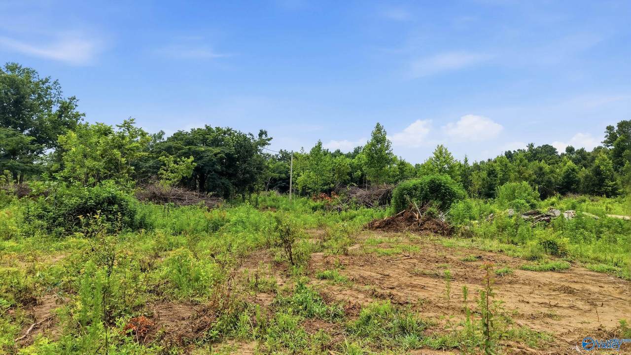 319 County Road 315 - Photo 1