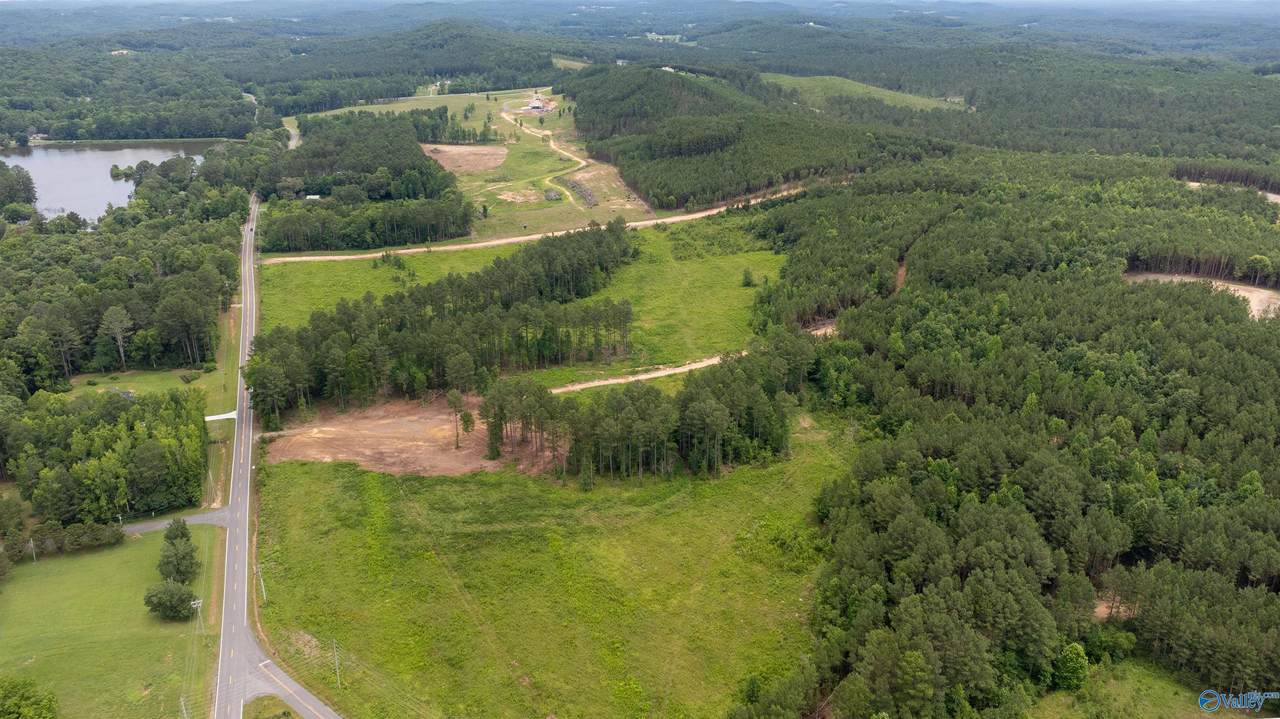 256 ACRES Lake Kathy Road - Photo 1