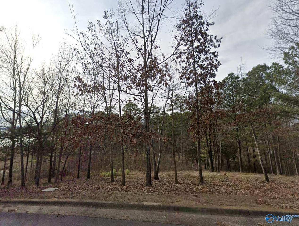 Lot 35 Harbor Ridge Road - Photo 1