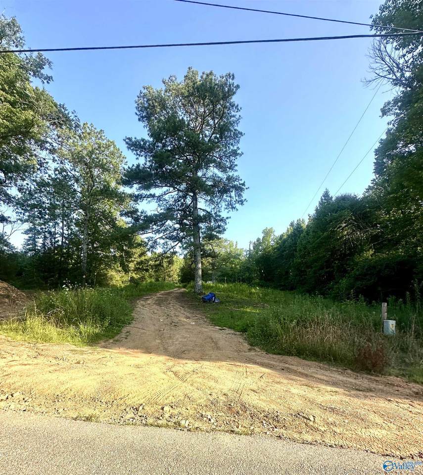 3707 Vaughn Road - Photo 1