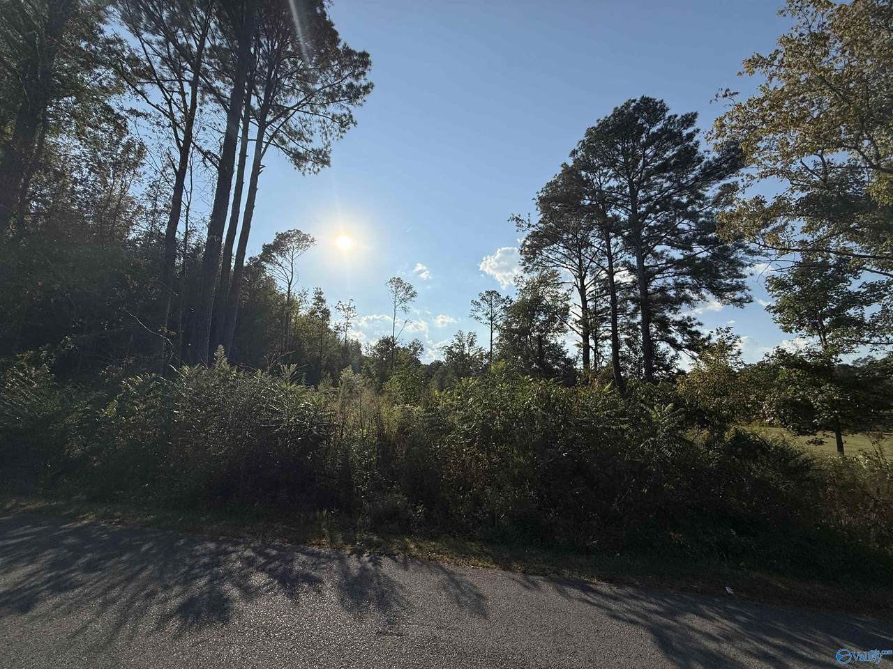 1.46 Acres 2nd Avenue - Photo 1