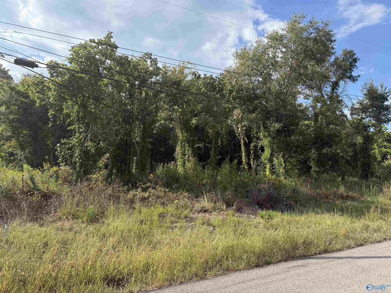 3.9 Acres Bishop Road - Photo 1