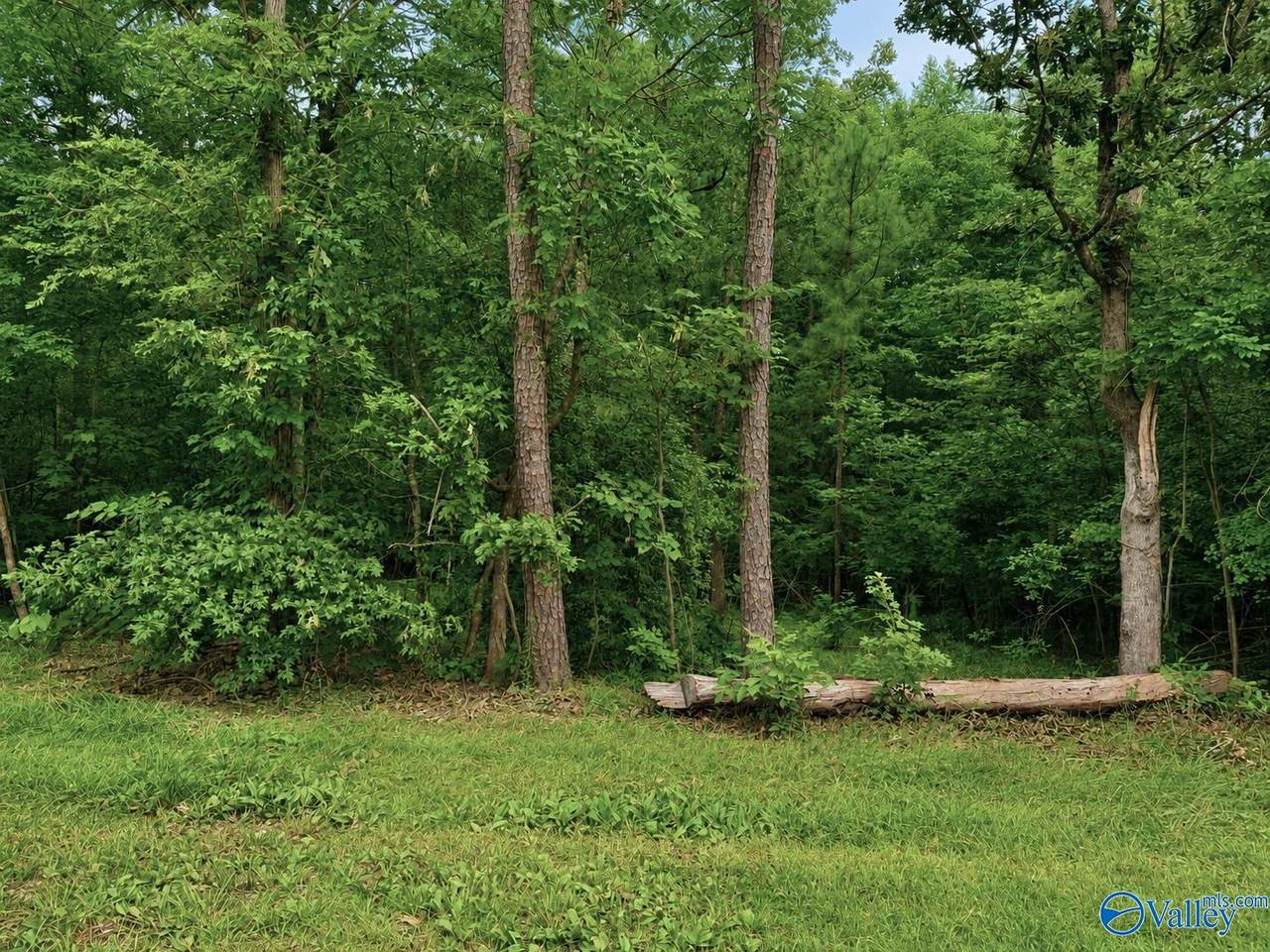 Lot 34 County Road 608 - Photo 1