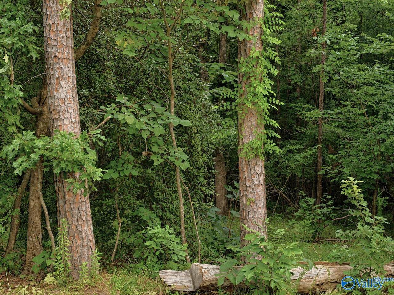 https://bt-photos.global.ssl.fastly.net/nalmls/1280_boomver_1_21924126-2.jpg