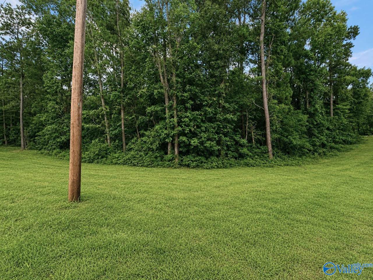 Lot 35 County Road 608 - Photo 1