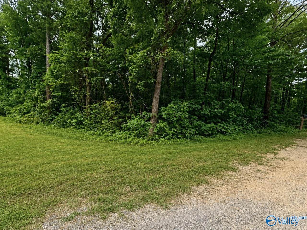 Lot 36 County Road 683 - Photo 1