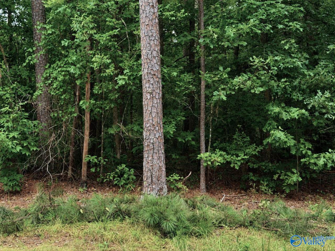 https://bt-photos.global.ssl.fastly.net/nalmls/1280_boomver_1_21924130-2.jpg