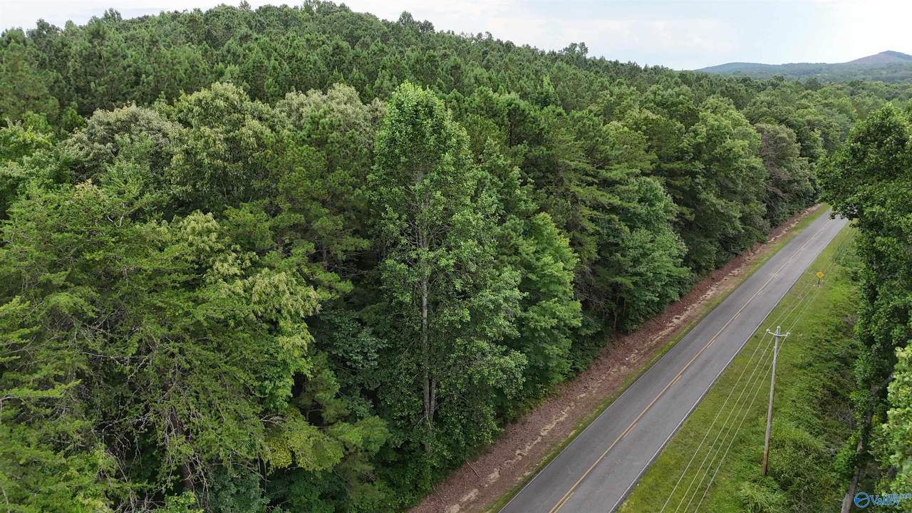 003 County Road 41 - Photo 1