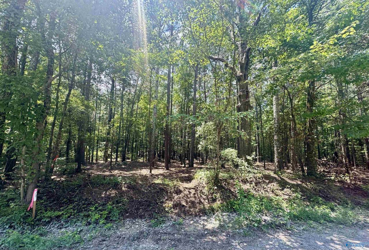 24 County Road 1011 - Photo 1